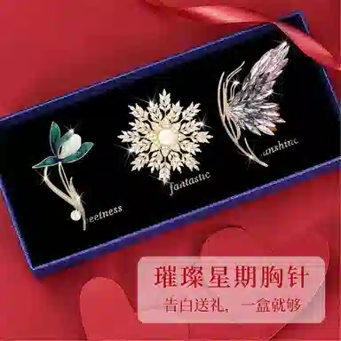 缔晶 轻奢时尚精致闪耀 优雅气质日常通勤百搭衣服防走光 合金 胸针 女款