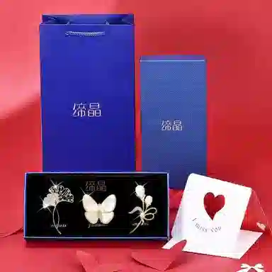 缔晶 轻奢时尚精致闪耀 优雅气质日常通勤百搭衣服防走光 合金 胸针 女款