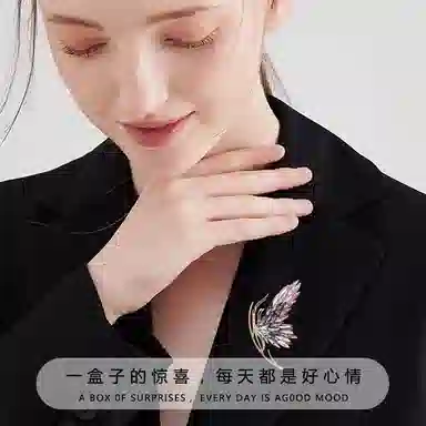 缔晶 轻奢时尚精致闪耀 优雅气质日常通勤百搭衣服防走光 合金 胸针 女款