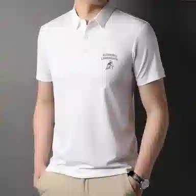 Automobili Lamborghini Polo