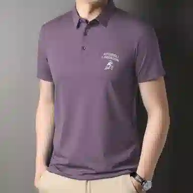 Automobili Lamborghini Polo