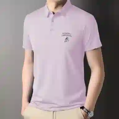 Automobili Lamborghini Polo