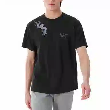 Arcteryx KRAGG logoT