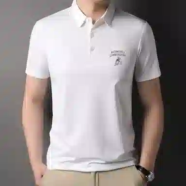 Automobili Lamborghini Polo