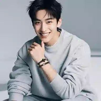 木盛缘 【避小人招贵人】本命年转运一眼天珠过手留香平安喜乐福禄吉祥佛珠念珠招财霸气新中式好运 黑檀 手串 男女同款情侣款