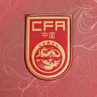 Nike Dri-FitAcademy SS25 Pro Anthem logo