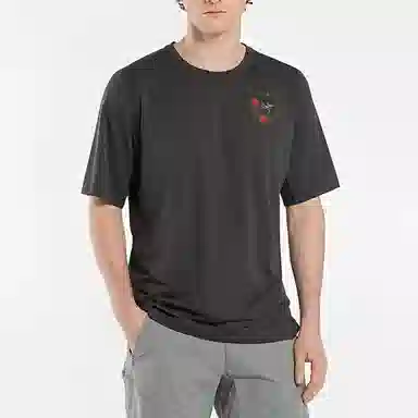Arcteryx LogoT Charcoal grey