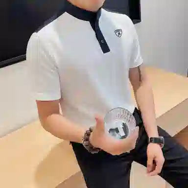 Automobili Lamborghini logoPolo