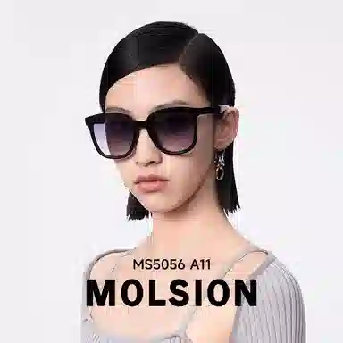 MOLSION