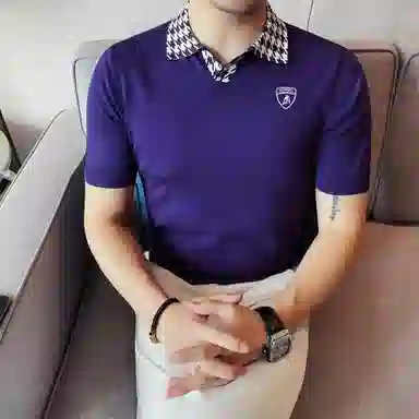 Automobili Lamborghini logoPolo