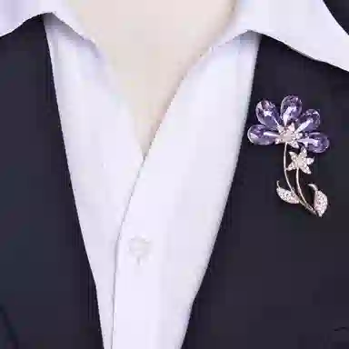 缔晶 浪漫奢华紫罗兰天鹅  胸花套装 日常通勤气质防走光外套配饰 合金 胸针 女款