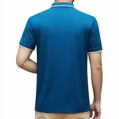 Pierre Cardin Polo Shirt