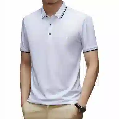 Pierre Cardin Polo Shirt