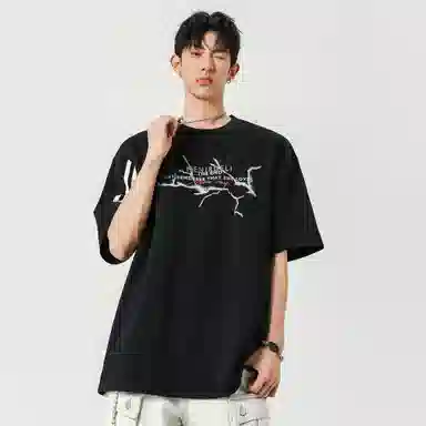 fdragon T