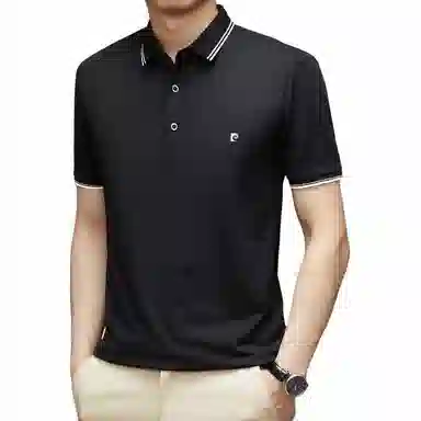 Pierre Cardin Polo Shirt