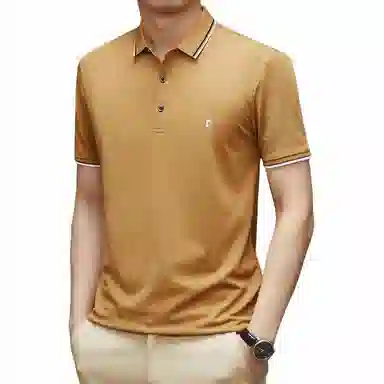 Pierre Cardin Polo Shirt