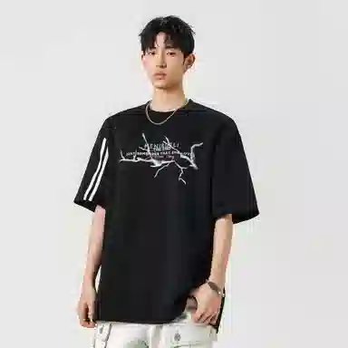 fdragon T
