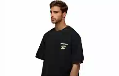 patagonia Extraordinary T