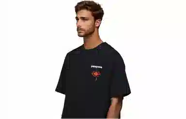 patagonia Extraordinary T