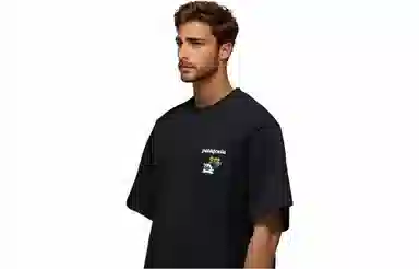 patagonia Extraordinary T