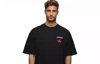 patagonia Extraordinary T