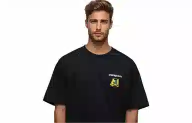 patagonia Extraordinary T