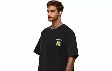 patagonia Extraordinary T