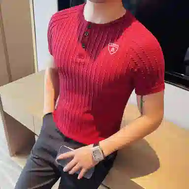 Automobili Lamborghini logoPolo