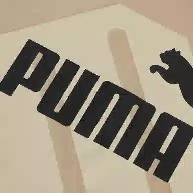 PUMA Power Graphic T