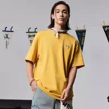 Palladium T