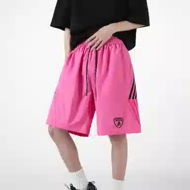 Automobili Lamborghini