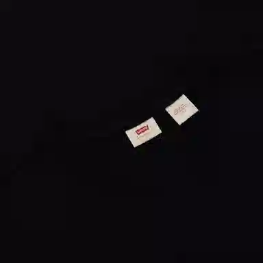 Levis SS22 T