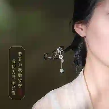 凤凰涅磐 新中式黑檀木国风木簪 步摇高级感簪子盘发 古风流苏木质发钗汉服旗袍 白玛瑙 石榴石 发簪 女款 其他木作 礼物 礼盒