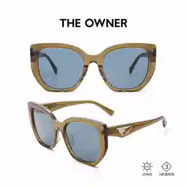THE OWNER