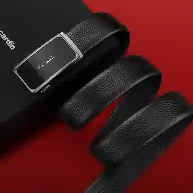 PIERRE CARDIN logo 3.5CM