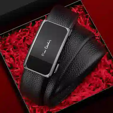 PIERRE CARDIN logo 3.5CM