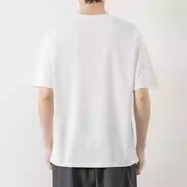 LISENPOK T