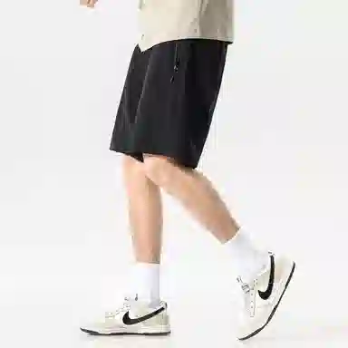 Hansca 0