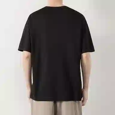 LISENPOK T