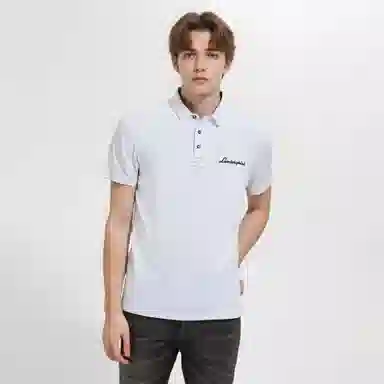 Automobili Lamborghini logoPolo