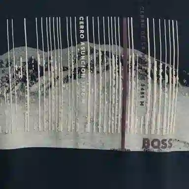 HUGO BOSS T