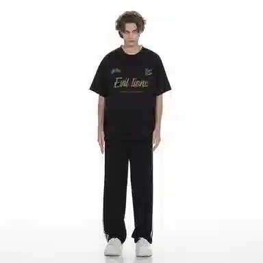 Evil lions T