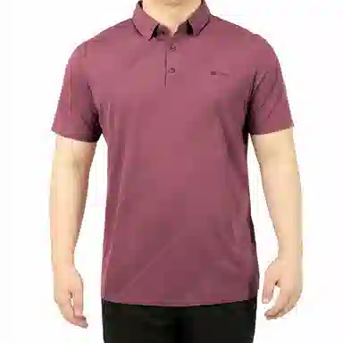 PIERRE CARDIN Polo