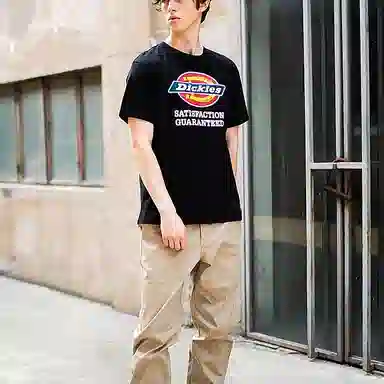Dickies LogoT