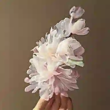 JOINT CANDY