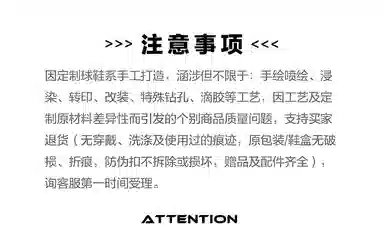 Jordan Air Jordan 1 FZBB GS