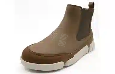 Clarks Trigenic