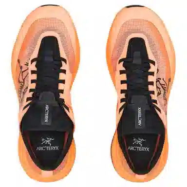 Arcteryx SYLAN PRO