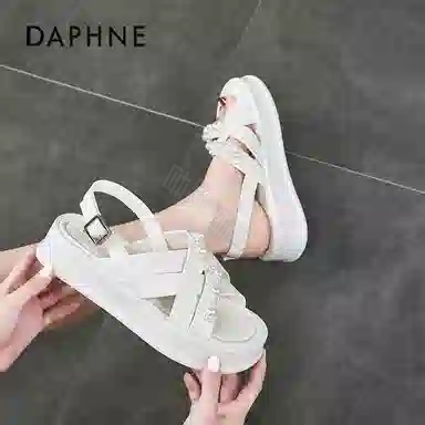 DAPHNE PU 4cm