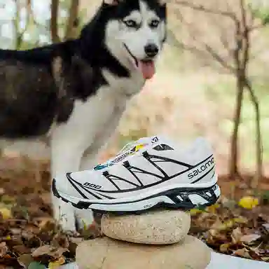 Salomon XT-6 Black White Blue